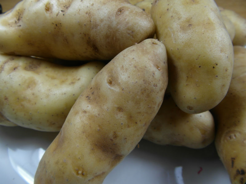 aardappelpuree